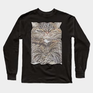 fat box cat Long Sleeve T-Shirt